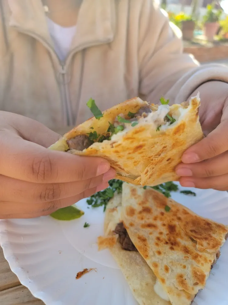 Quesadilla Fajita